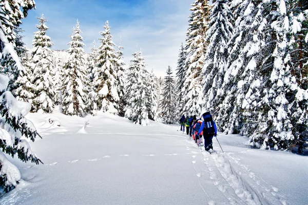 Grupo de caminhante de snowshoe — Fotografia de Stock