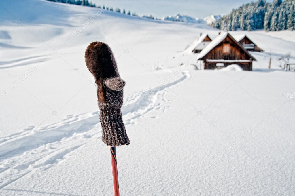 Ski Pole with mitten