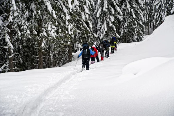 Grupp av snöskor vandrare — Stockfoto
