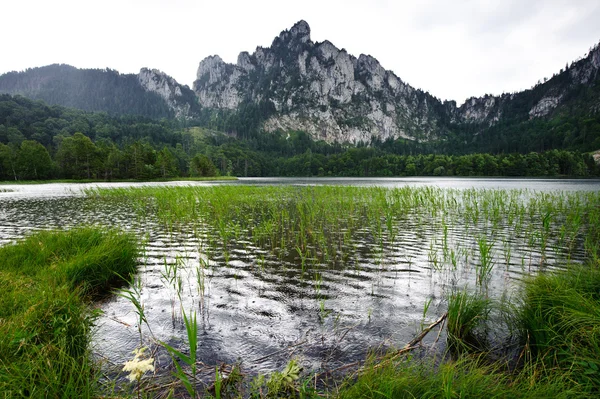 Chuva no lago da montanha — Fotografia de Stock