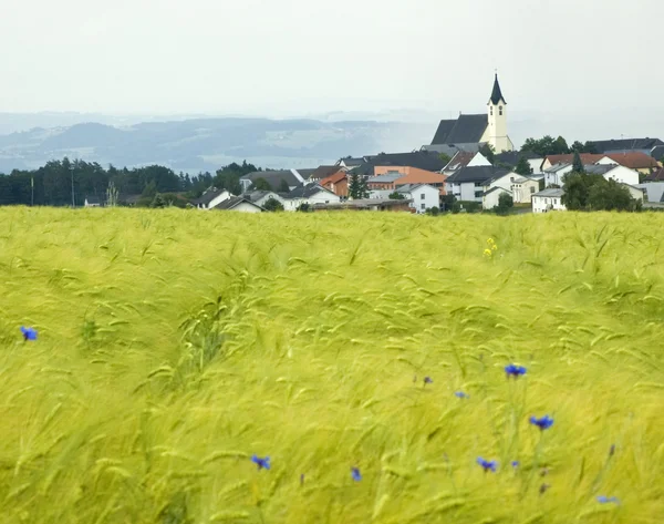 Village in upper austria — Stock Photo, Image