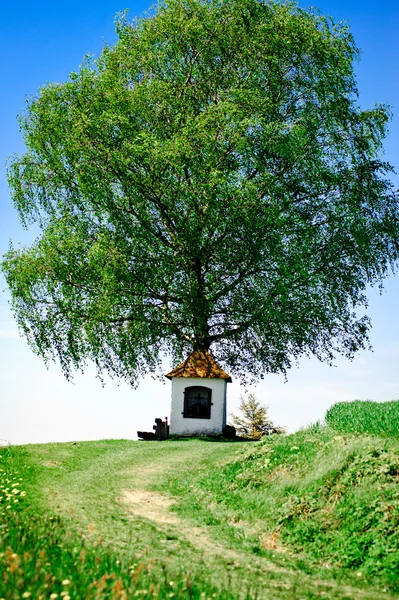 Μικρό εκκλησάκι με δέντρο — Φωτογραφία Αρχείου