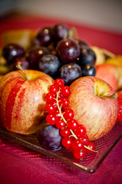 Plate with some Fruits — Stock Photo, Image