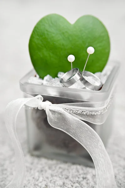 Anillos de boda de plata — Foto de Stock