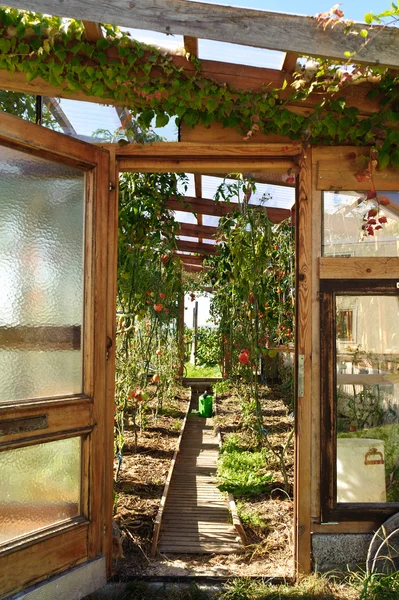 stock image Private Greenhouse