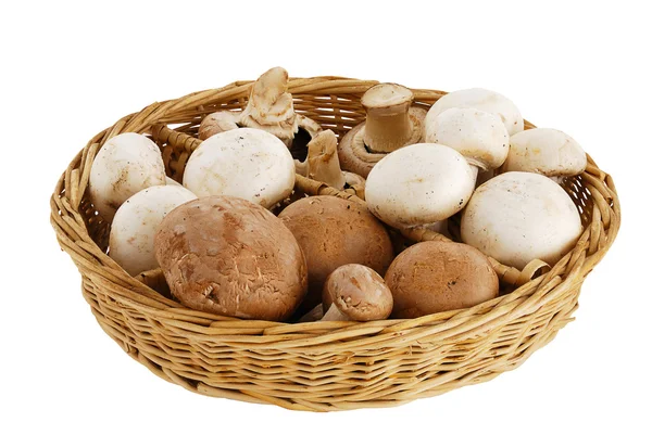 Mushroom mix in straw basket — Stock Photo, Image
