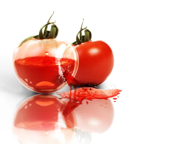 Pomidor Zdjęcie Stockowe