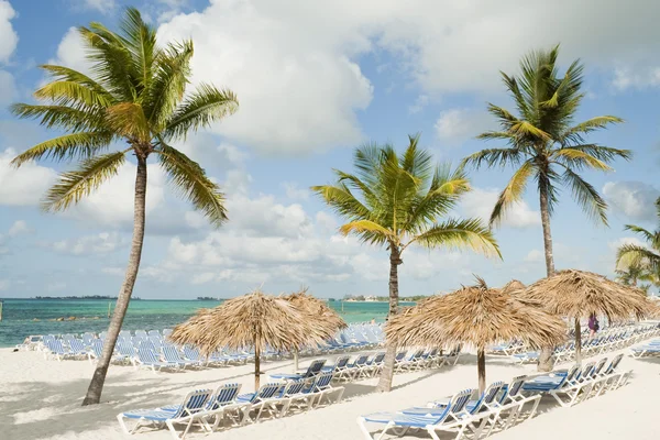 Beach in Bahamas — Stock Photo, Image