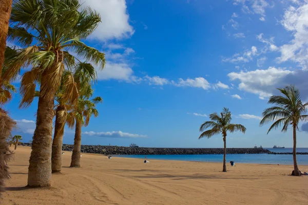 stock image Playa las Teresitas, Tenerife, Spain