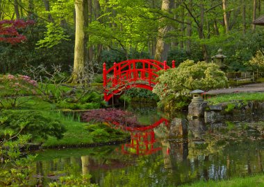 Japanese garden with bridge clipart