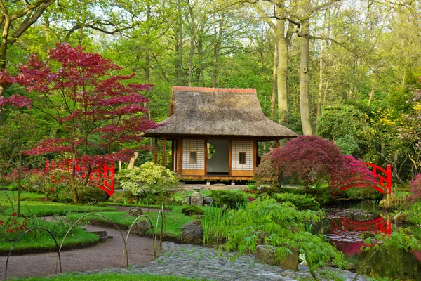 stock image Japanese garden