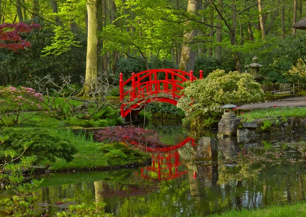 Japansk trädgård med bro — Stockfoto