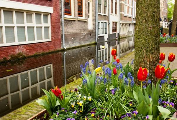 stock image Street of Delft, Holland