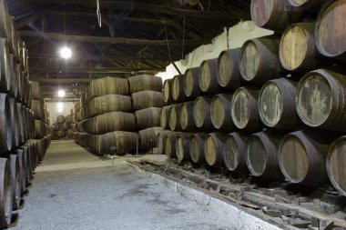 Cellar with wine barrels clipart