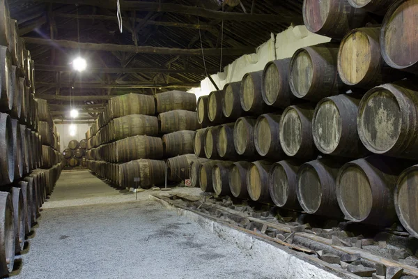 Keller mit Weinfässern — Stockfoto