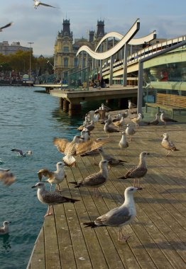 Rambla del mar, Barcelona, Spaiin