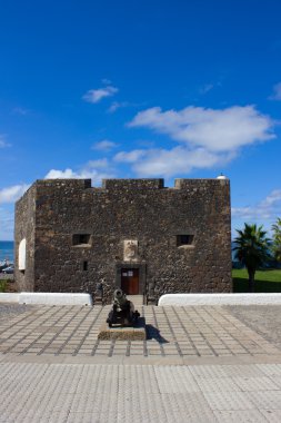 Old castle in Puerto de la Cruz, Spain clipart