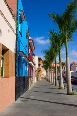 Puerto de la cruz, tenerife, İspanya