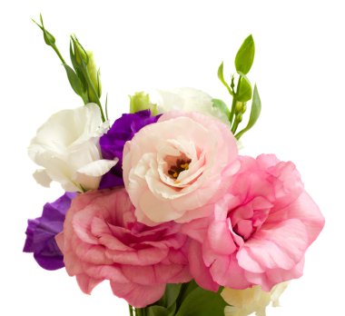 eustoma buket