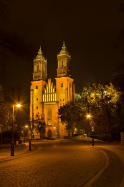 Cathedral of Poznan at night, Poland clipart