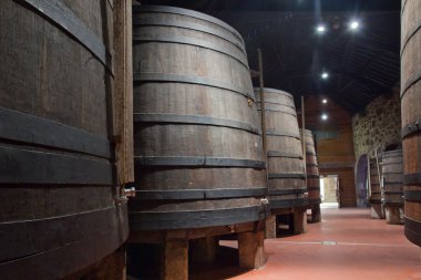 Cellar with wine barrels clipart