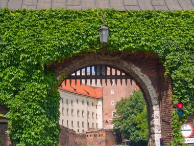 Gate royal Castle, krakow, Polonya