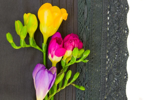 Encaje flores borde —  Fotos de Stock