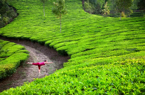 Yoga războinic pozează în plantații de ceai — Fotografie, imagine de stoc