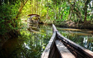 Boat in backwaters jungle clipart