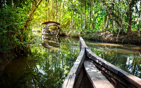 Boat in backwaters jungle — Stockfoto
