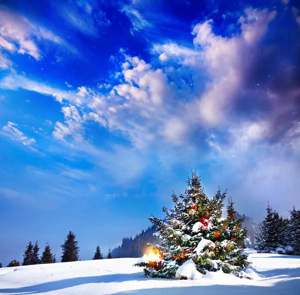 크리스마스 트리에 빛 이 있는 나무 로열티 프리 스톡 사진
