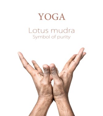 Yoga lotus mudra clipart