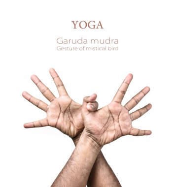 Yoga Garuda mudra clipart