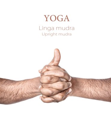 Yoga linga mudra clipart