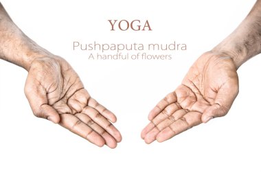 Yoga Pushpaputa mudra clipart