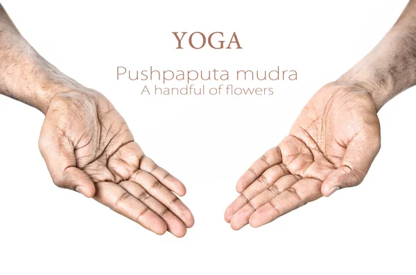 Йога Pushpaputa мудра — стокове фото