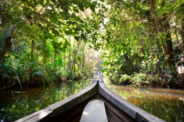 Boat in backwaters jungle clipart