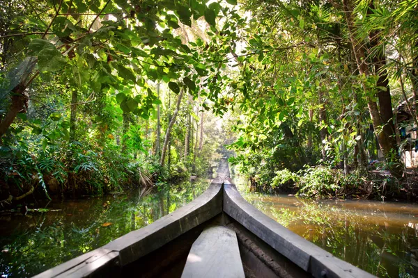 Loď v džungli stojaté vody — Stock fotografie