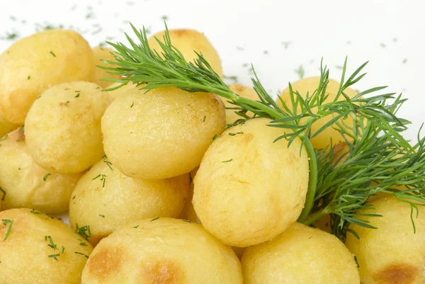 Potato with fresh fennel — Stock Photo, Image