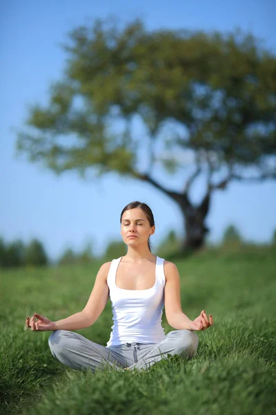 Schönes junges Mädchen trainiert Yoga auf sonniger Wiese — Stockfoto