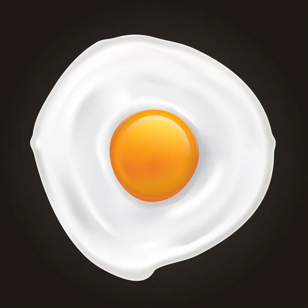 Fried Egg — Stock Vector