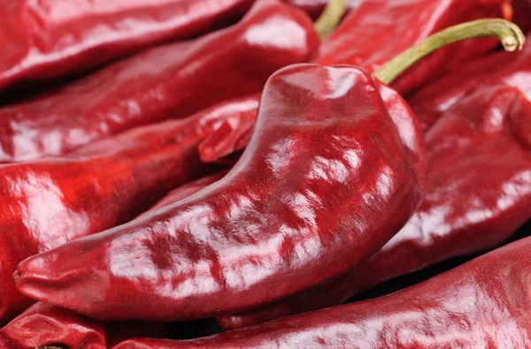 Torkad röd peppar bakgrund — Stockfoto