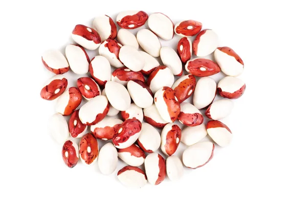Haricot fazole izolované na bílém — Stock fotografie