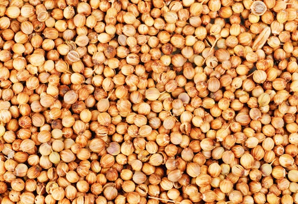 Aromatische koriander zaden als voedsel achtergrond — Stockfoto