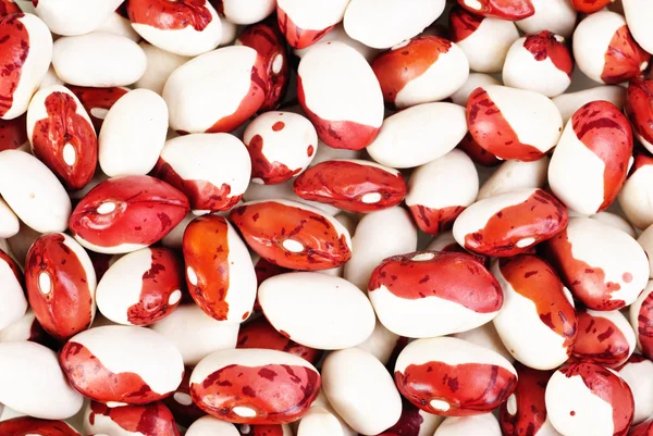 Haricot beans macro background — Stock Photo, Image