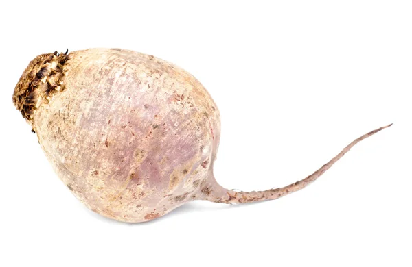 Beyaz arka plan üzerinde izole mor pancar sebze — Stok fotoğraf