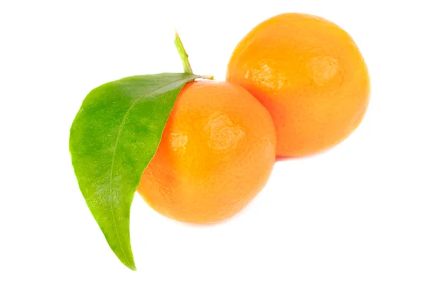 Dva mandarinky izolace na bílém pozadí — Stock fotografie