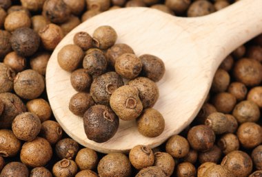 Background texture of whole allspice(jamaica pepper) with wooden spoon Used as a spice in cuisines all over the world. Also used in medicine. clipart