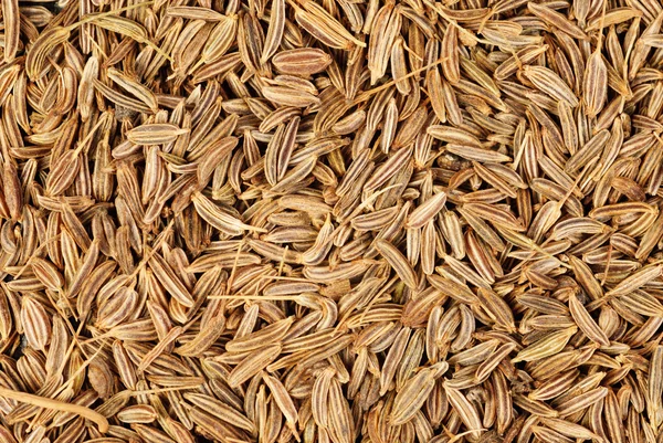 Макрос семян тмина в качестве фона — стоковое фото