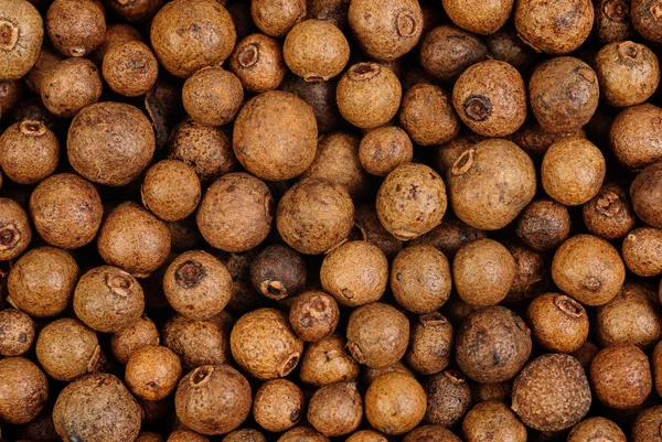 Background texture of whole allspice(jamaica pepper) Used as a spice in cuisines all over the world. Also used in medicine. — Stock Photo, Image
